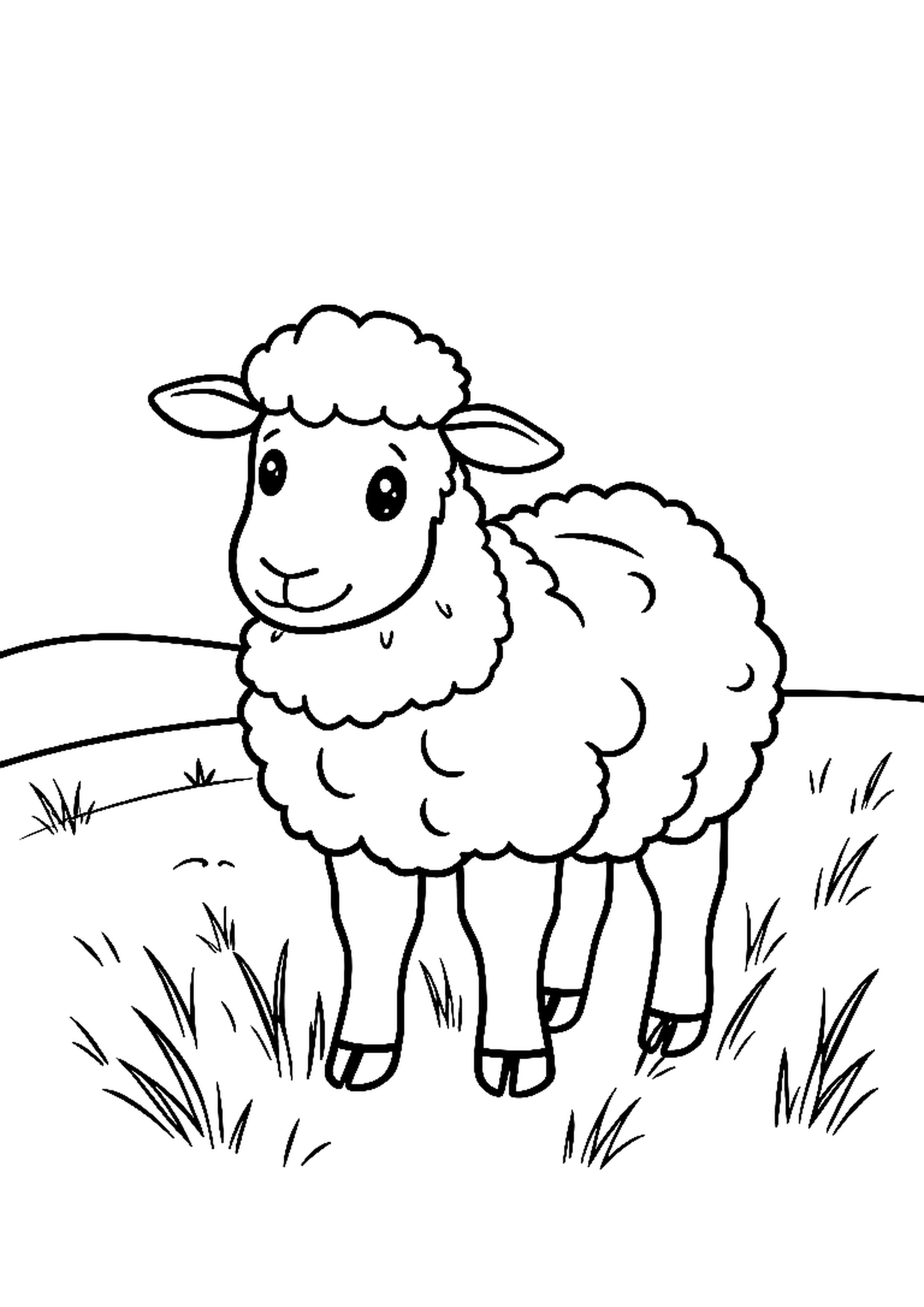Woolly sheep standing on a grassy hillside