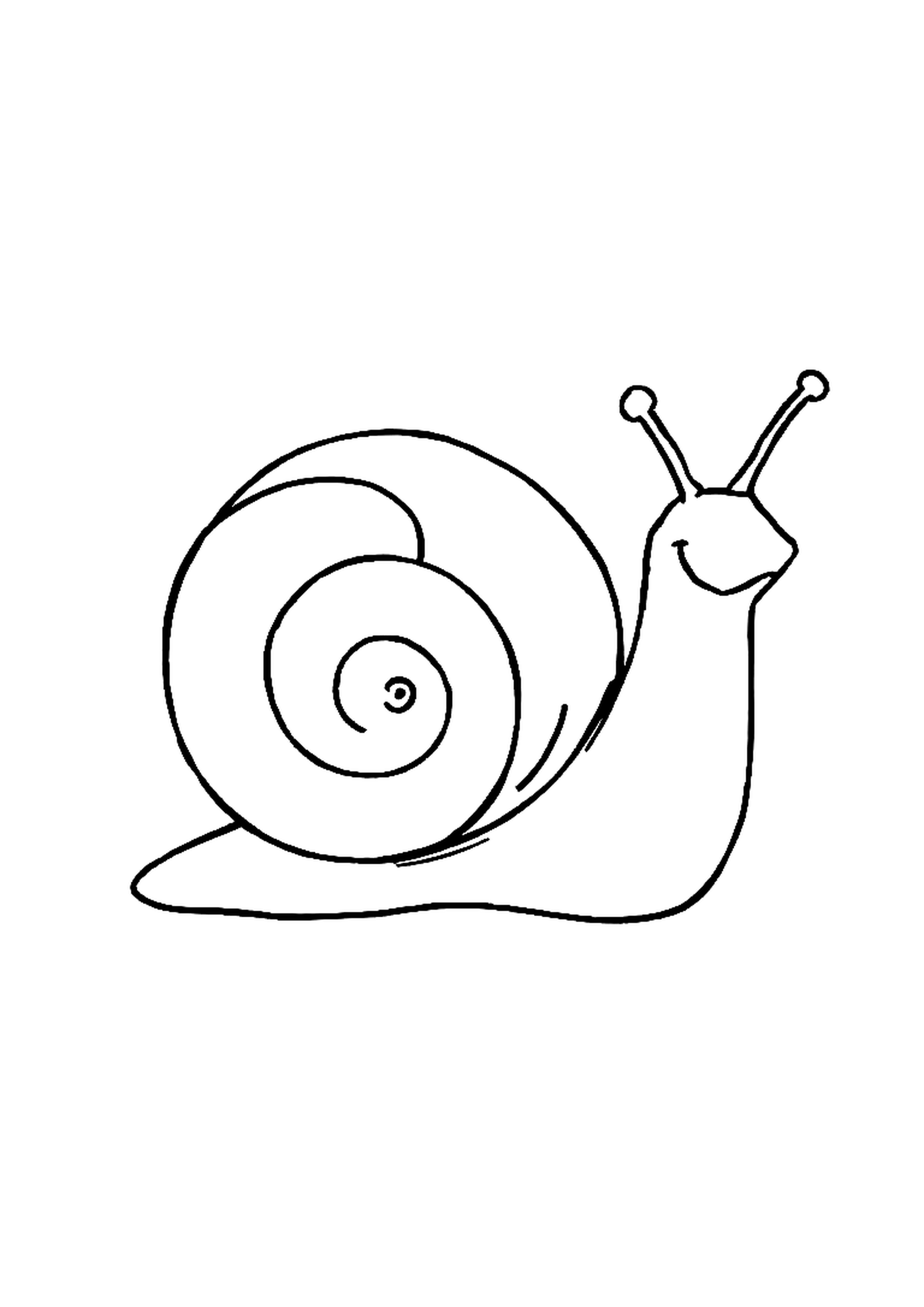 Snail with a big spiral shell crawling through a garden