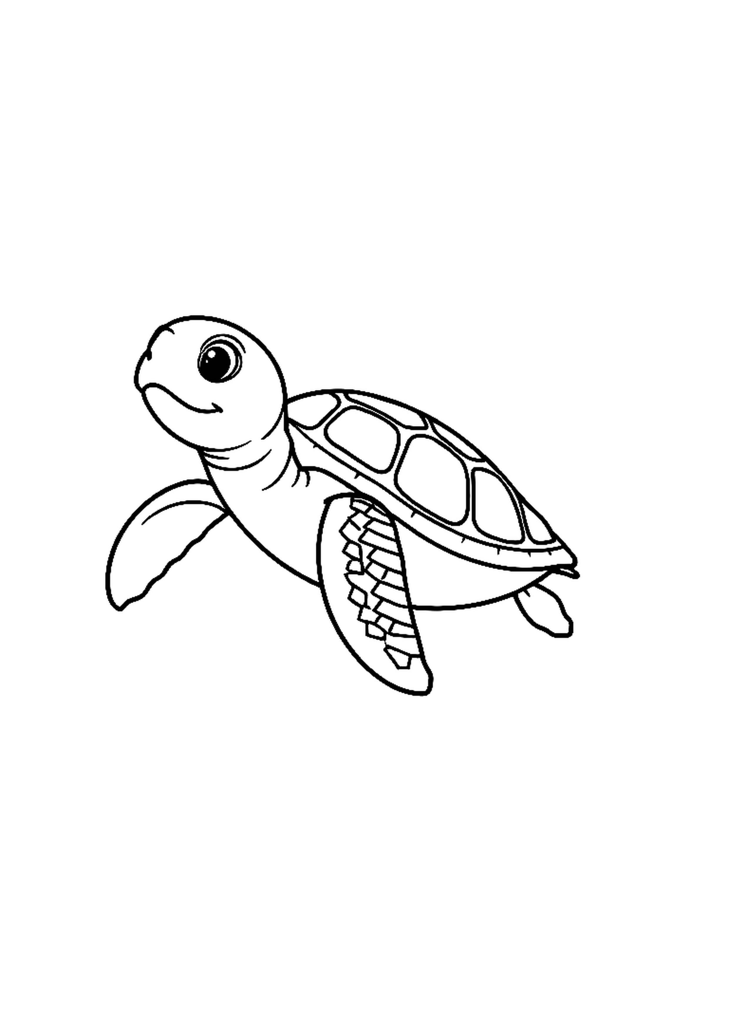 Turtle walking slowly with a patterned shell