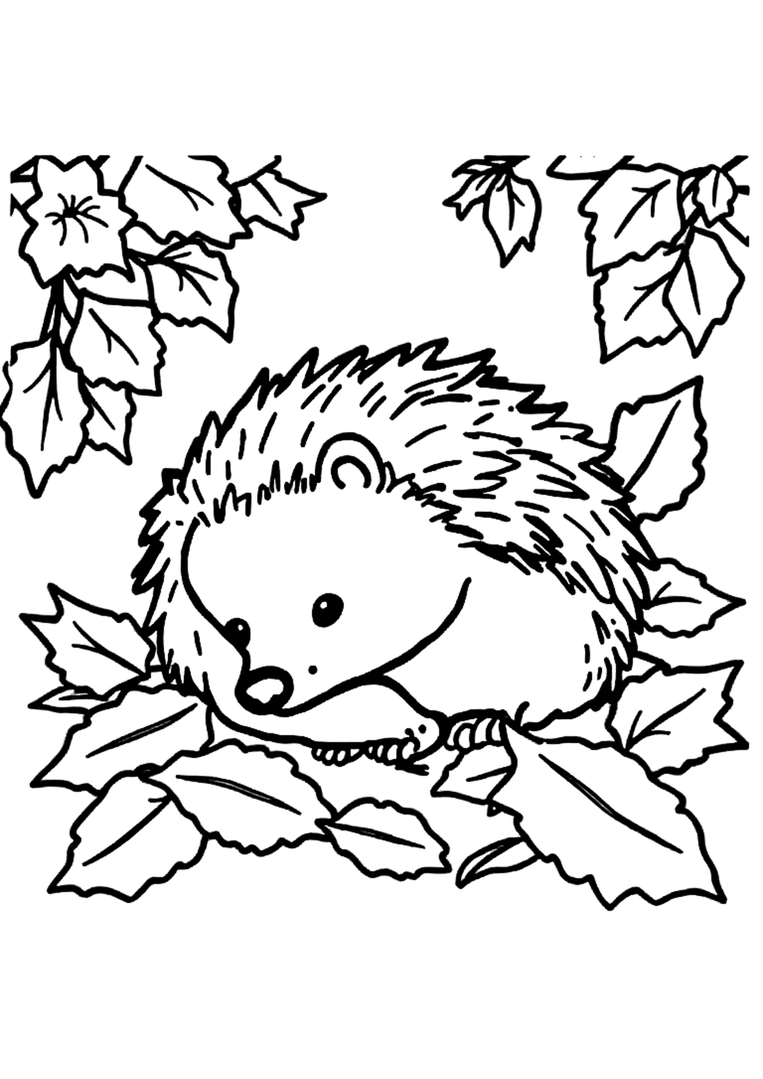 Hedgehog among flowers and mushrooms in a garden