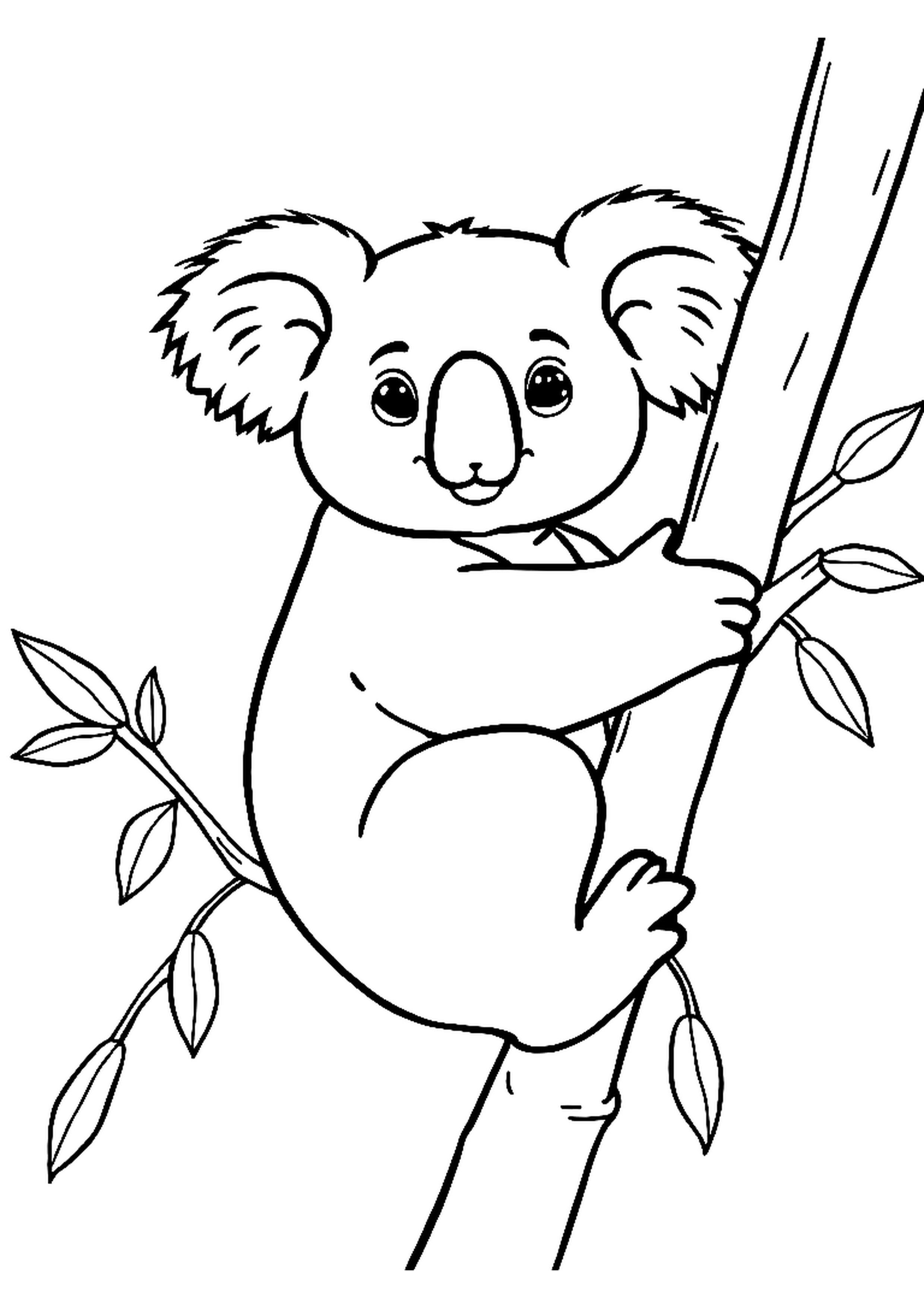 Koala bear hugging a eucalyptus tree branch