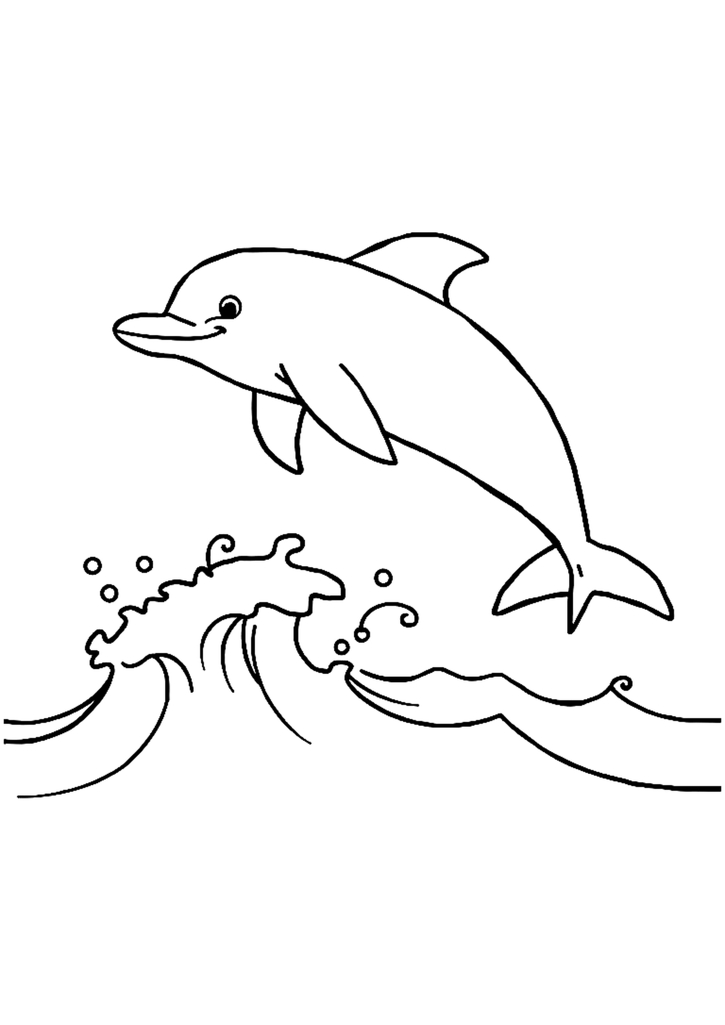 Dolphin jumping over ocean waves with water splashing