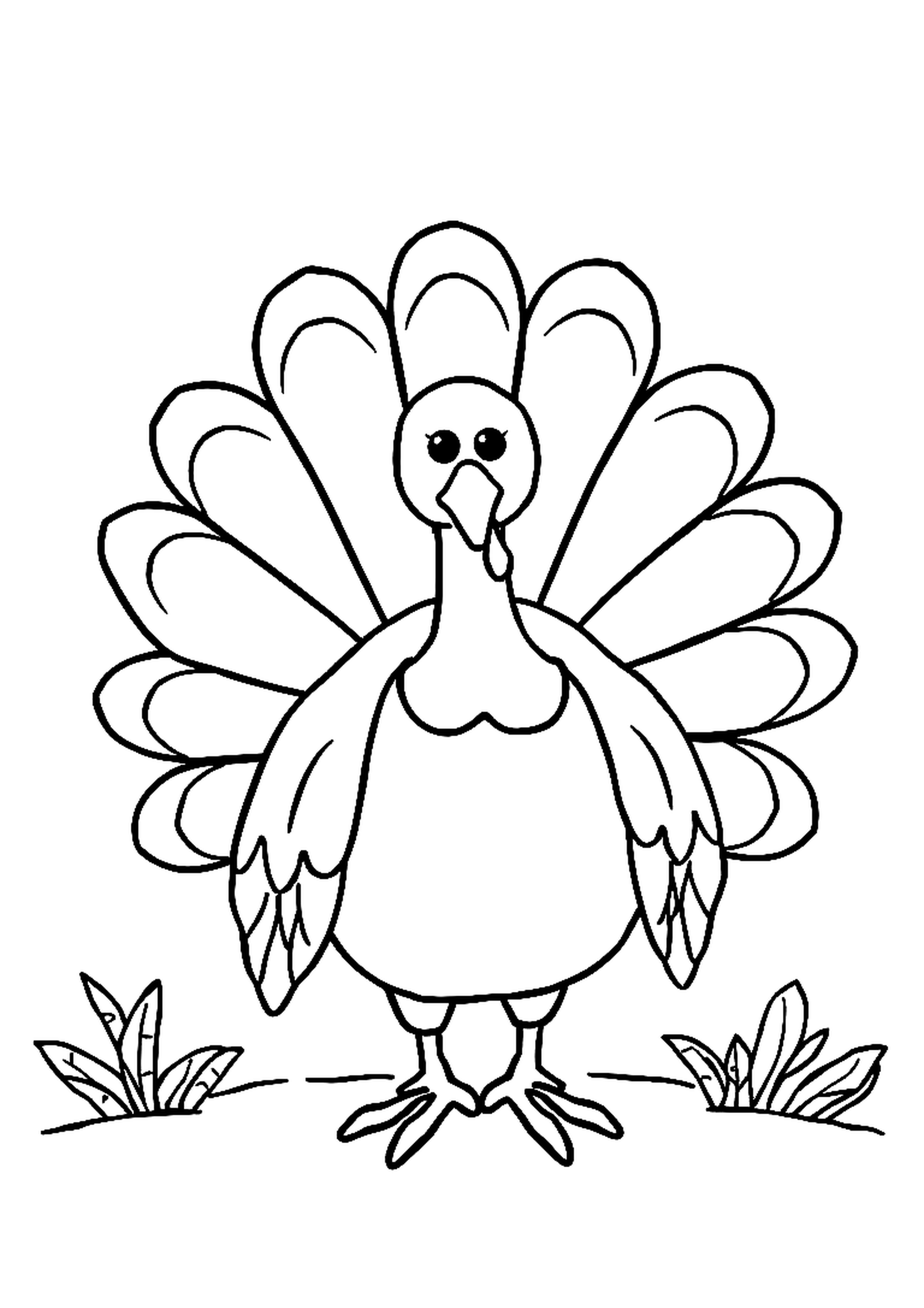 Turkey with spread tail feathers for Thanksgiving