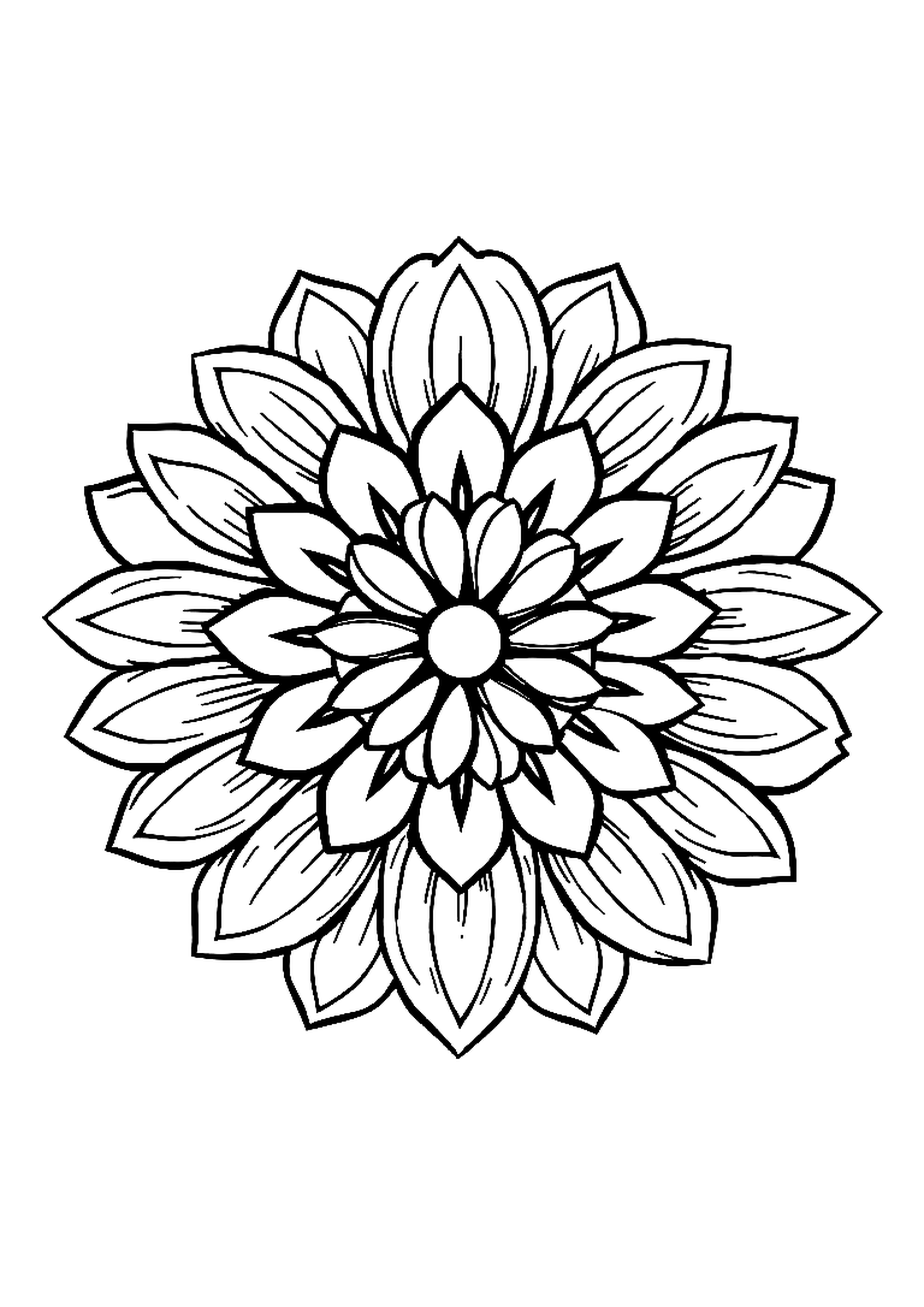 Mandala made of flower petals spiraling outward