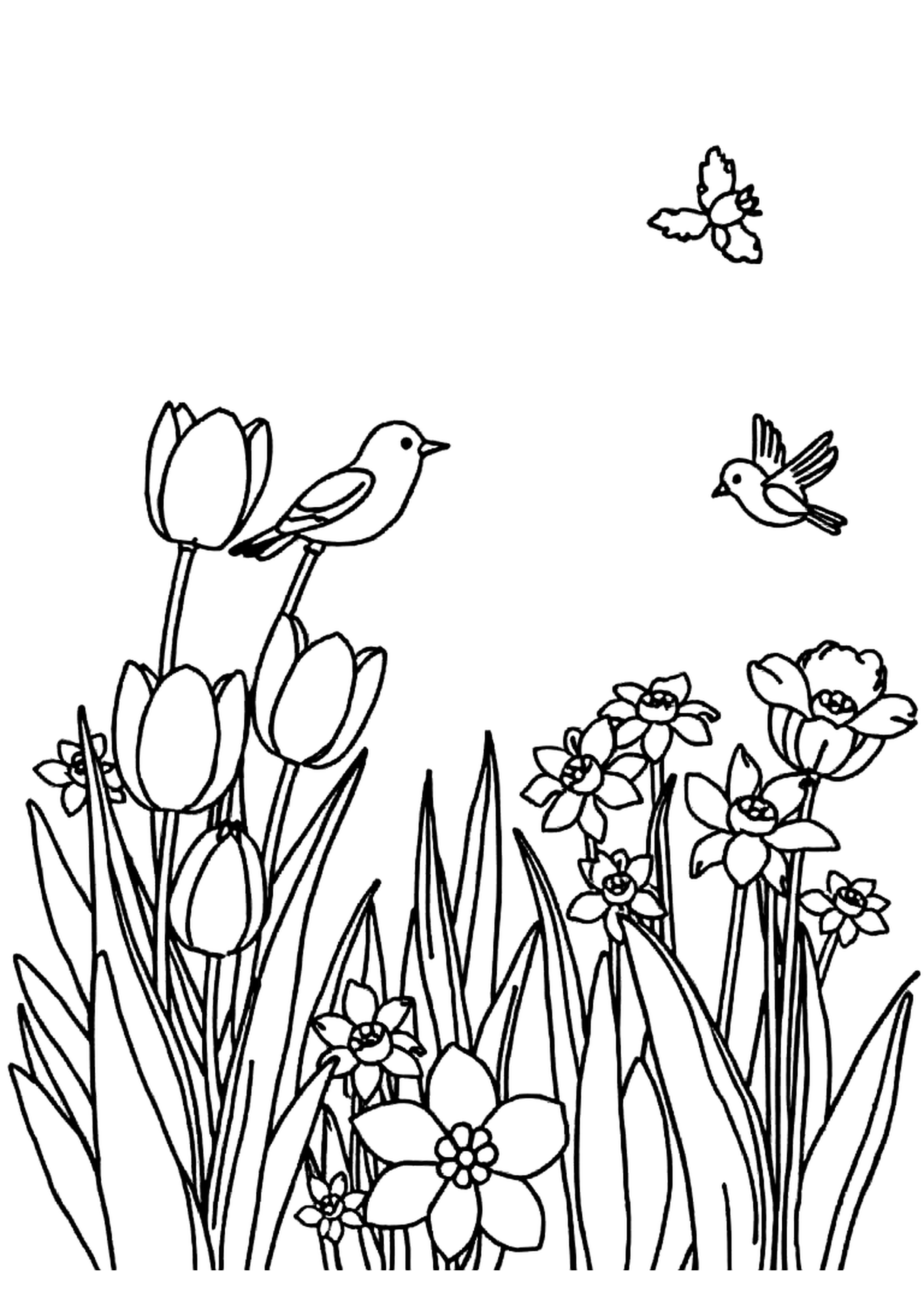 Spring garden with sprouting seeds, ladybugs, and blooming flowers